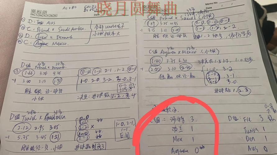 世界杯投注网站玩法技巧全面分析实用指南